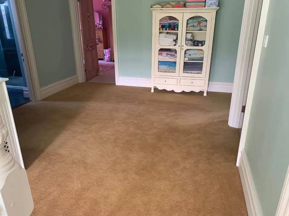 Finished carpet fitted in a living room