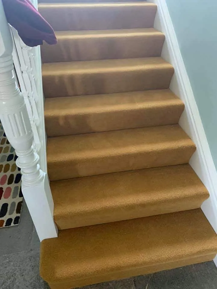 Stair carpet fitted with runner